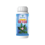 Detox