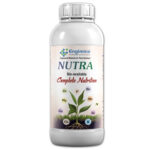 New Nutra